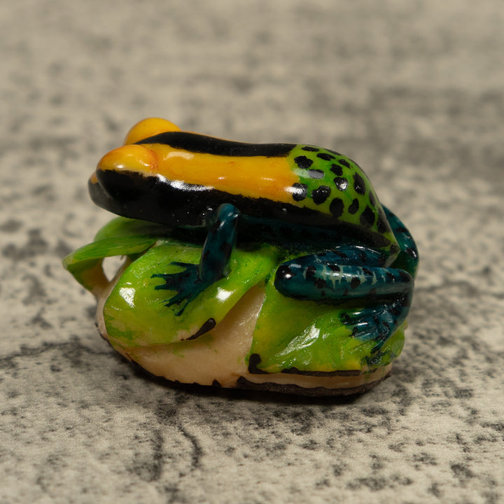 Poison Dart Frog Tagua Carving