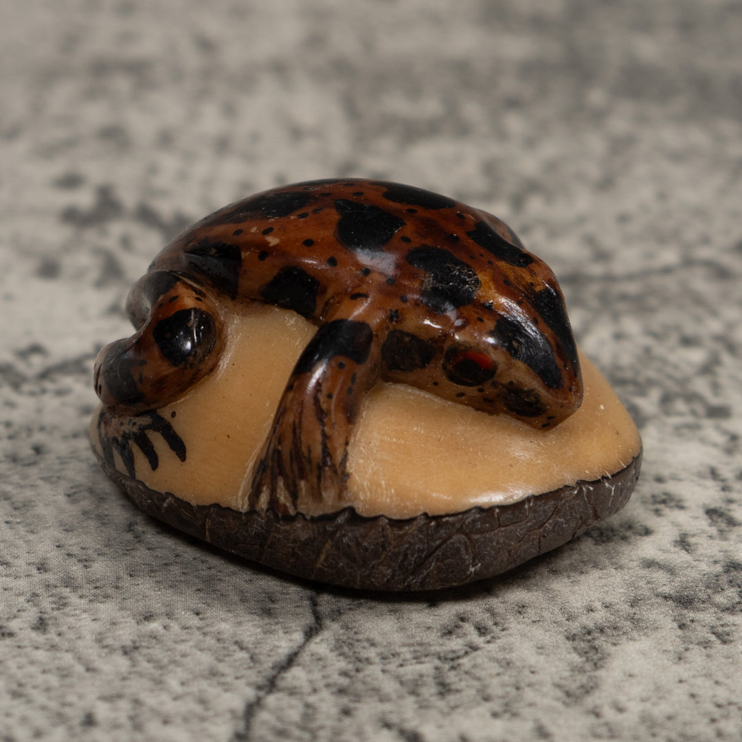 Vintage Brown And Black Frog Tagua Carving