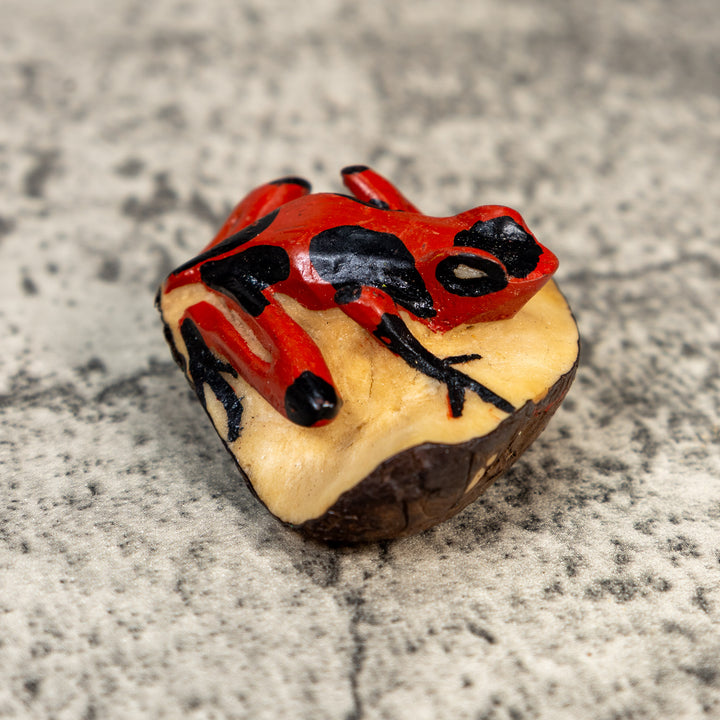Black And Red Poison Dart Frog Tagua Carving