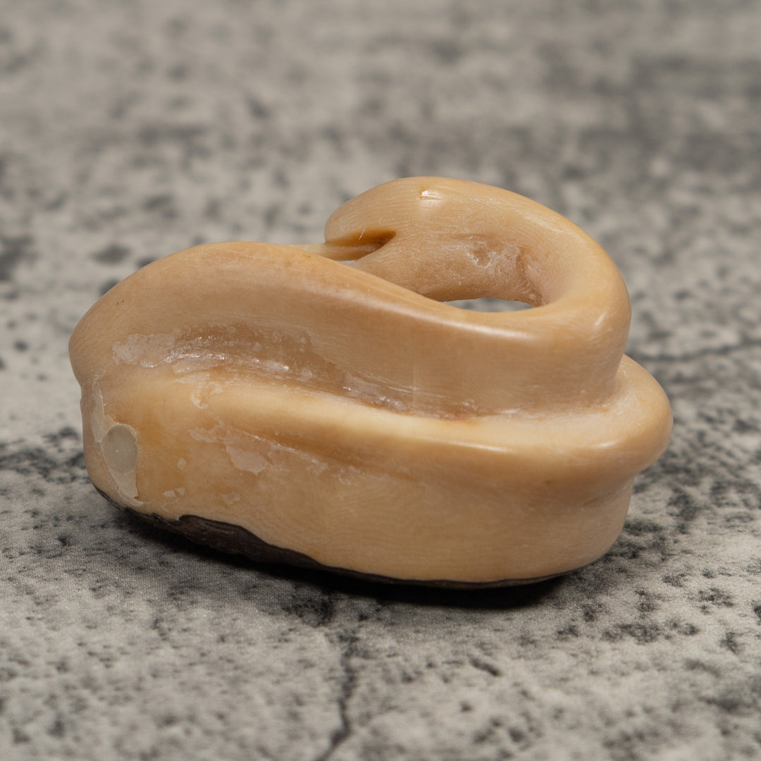 Natural White Snake Tagua Carving