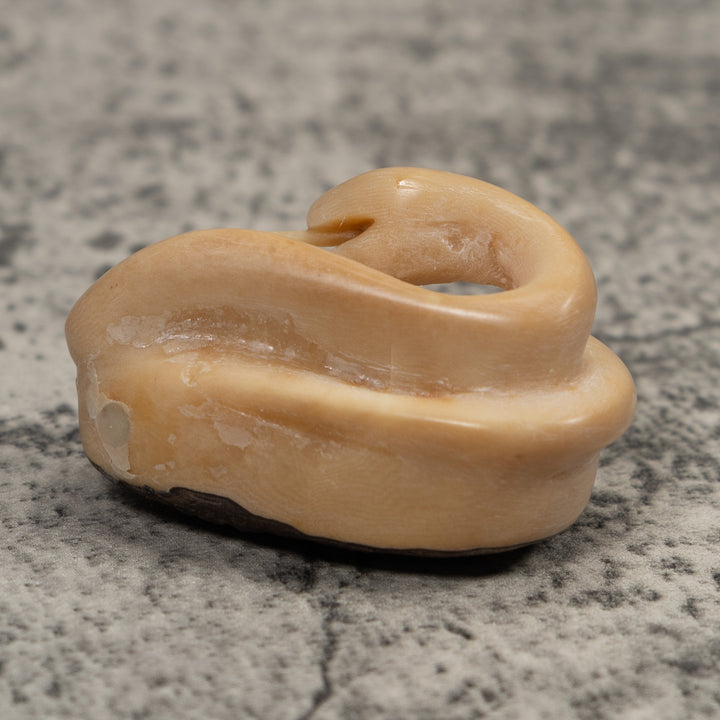 Natural White Snake Tagua Carving