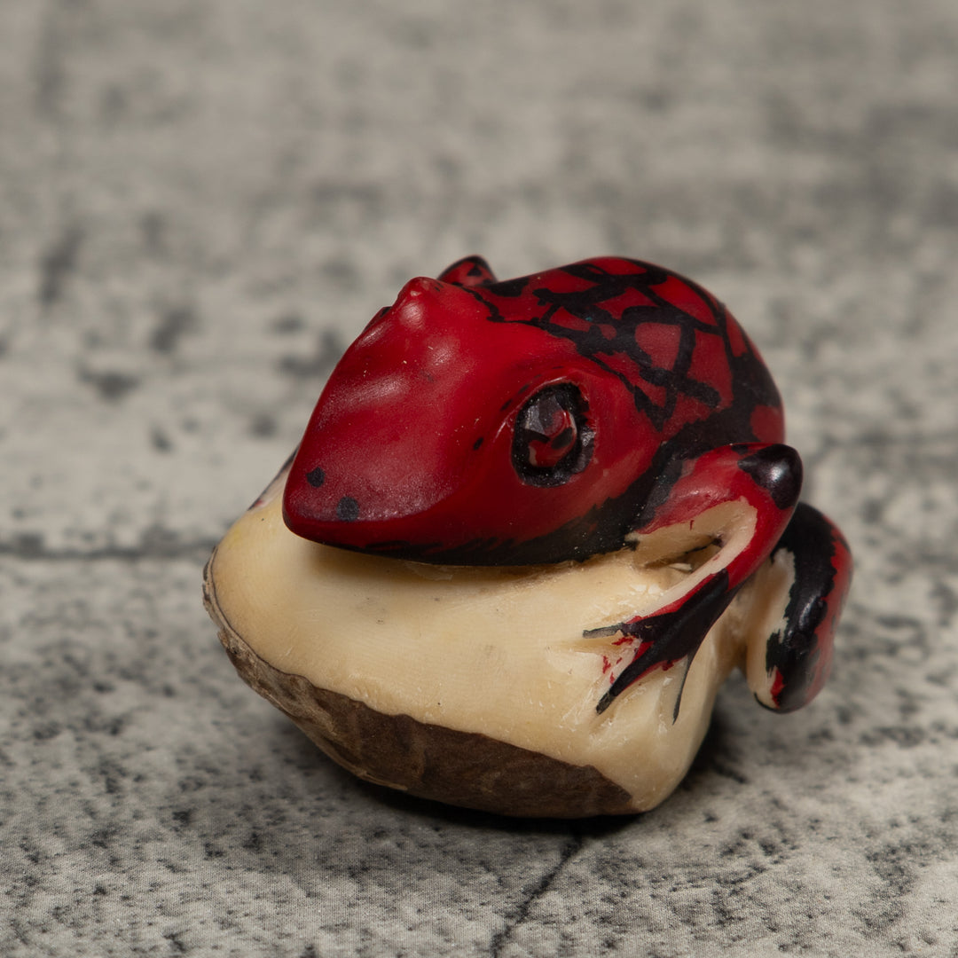 Poison Dart Frog Tagua Carving