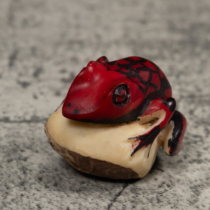 Poison Dart Frog Tagua Carving