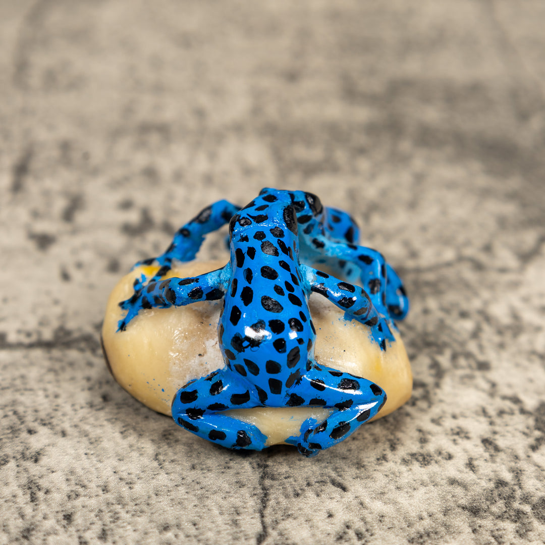 Black And Blue Double Poison Dart Frog Tagua Carving