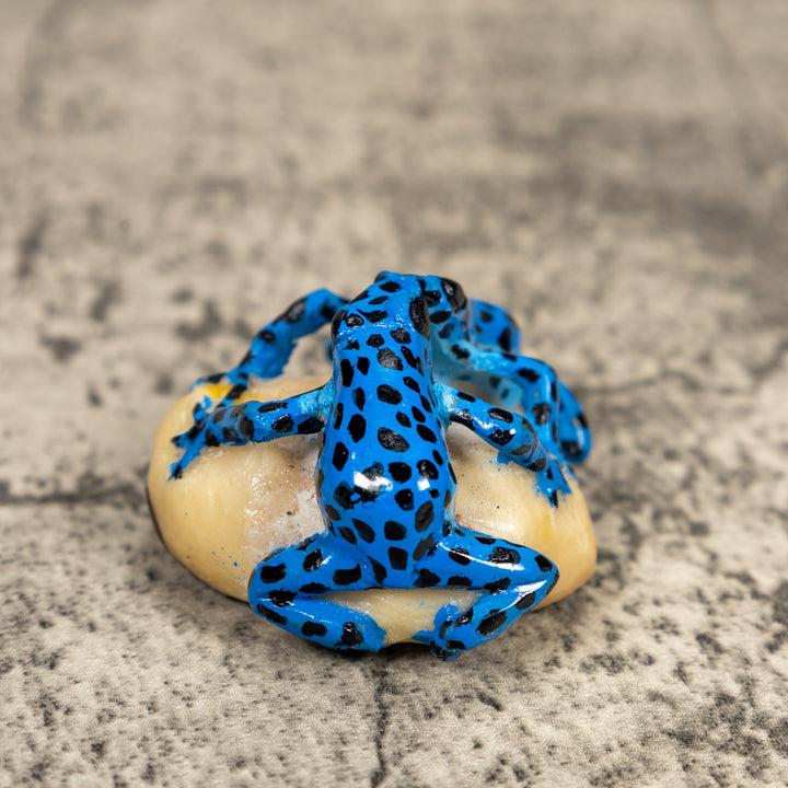 Black And Blue Double Poison Dart Frog Tagua Carving