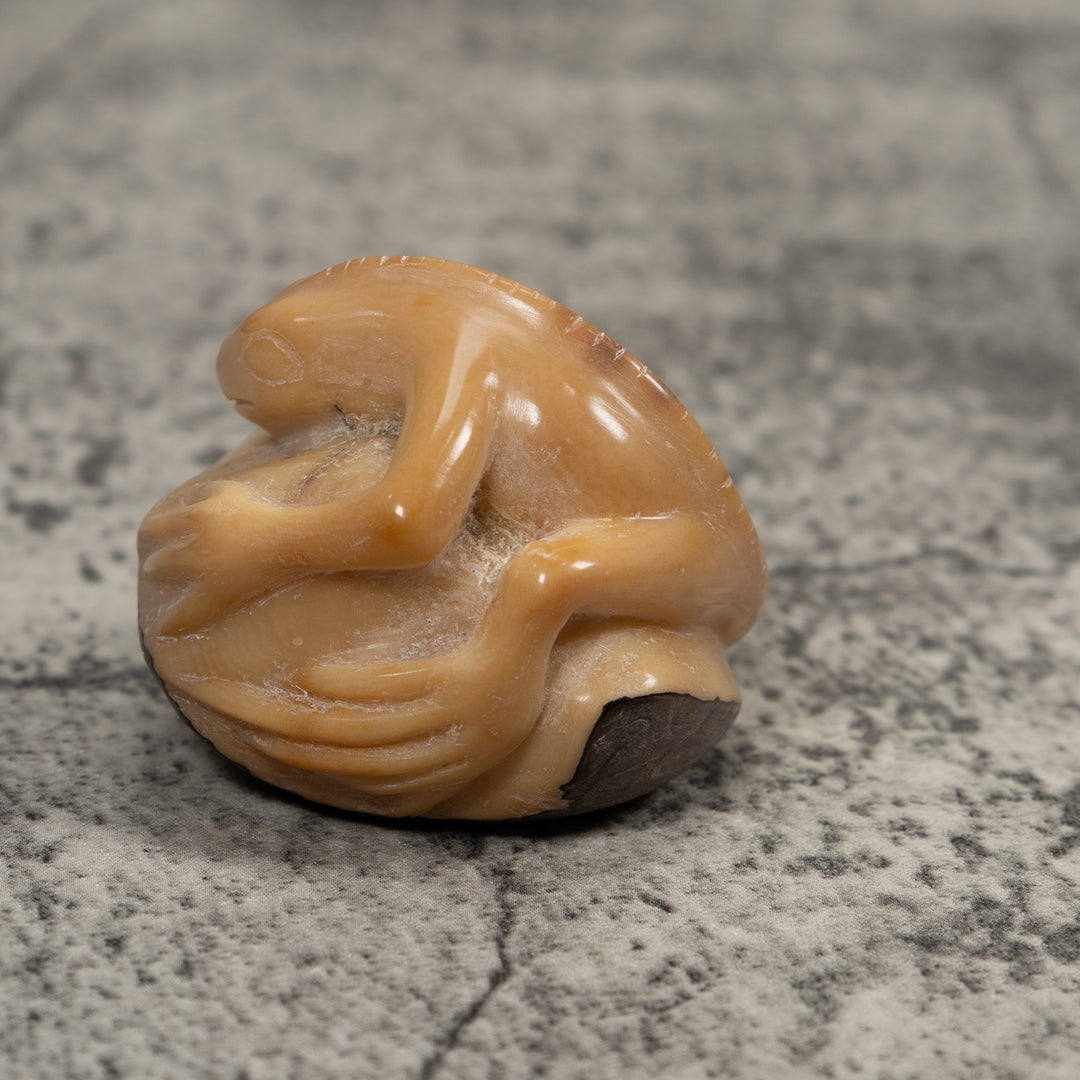 Vintage White Natural Iguana Tagua Carving