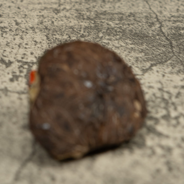 Poison Dart Frog Tagua Carving