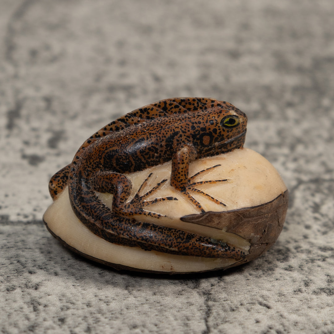 Brown And Black Gecko Lizard Tagua Carving