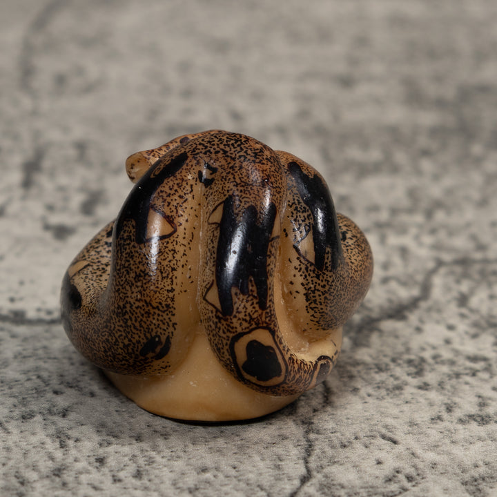 Brown And Black Boa Snake Tagua Carving