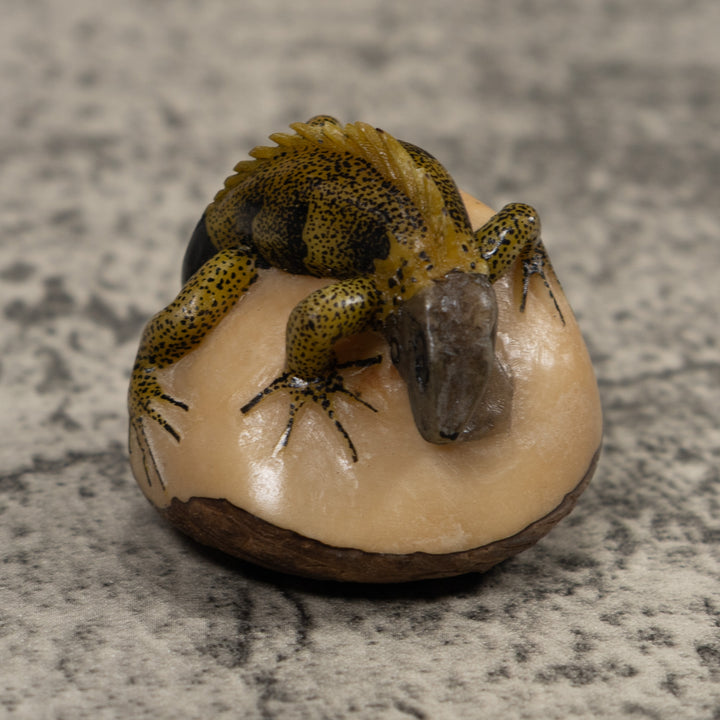 Iguana Lizard Reptile Tagua Carving