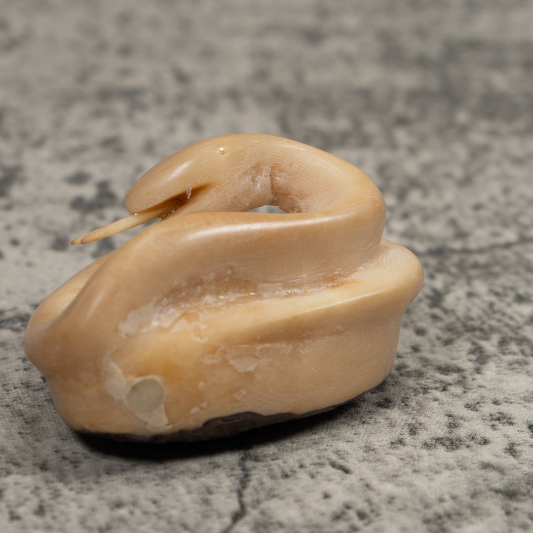 Natural White Snake Tagua Carving