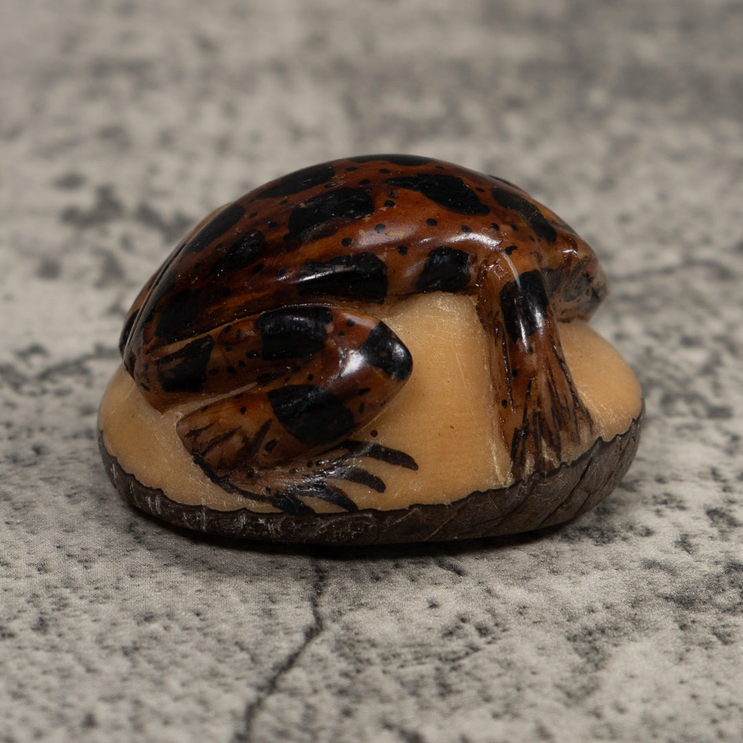 Vintage Brown And Black Frog Tagua Carving