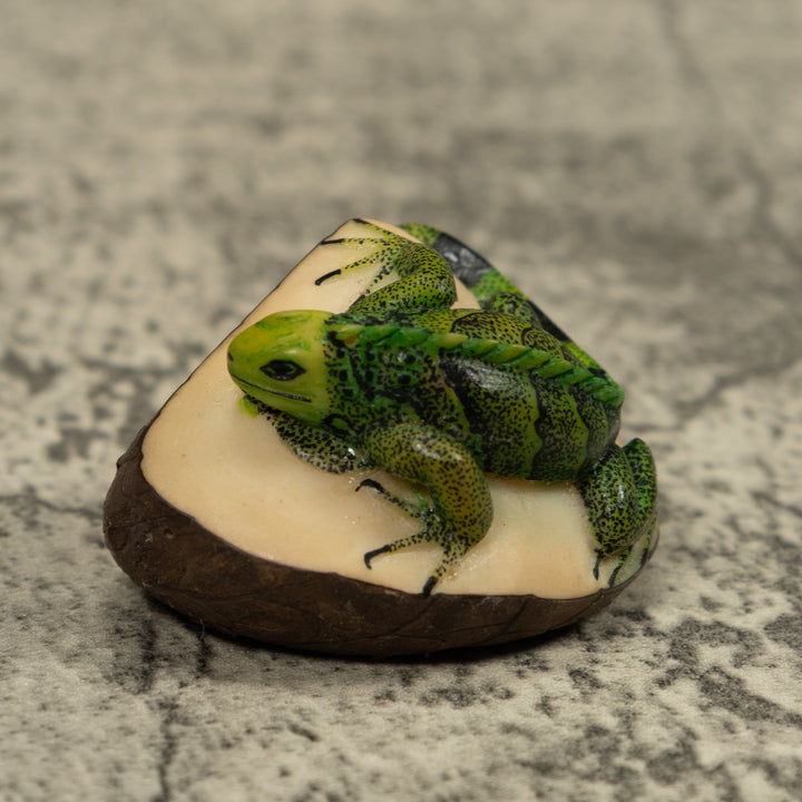 Iguana Lizard Reptile Tagua Carving