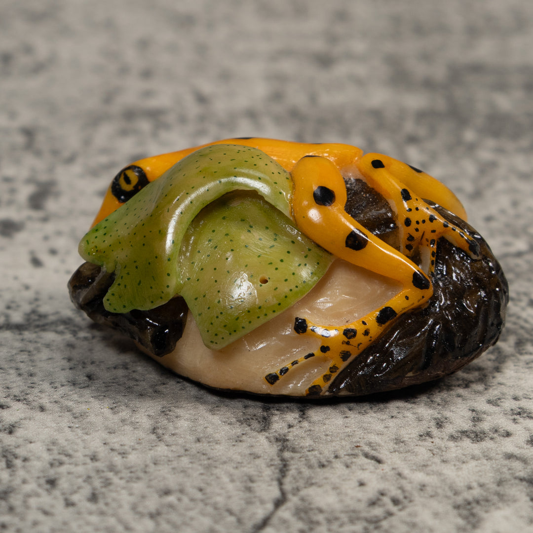 Gold Black And Green Poison Dart Frog Tagua Carving