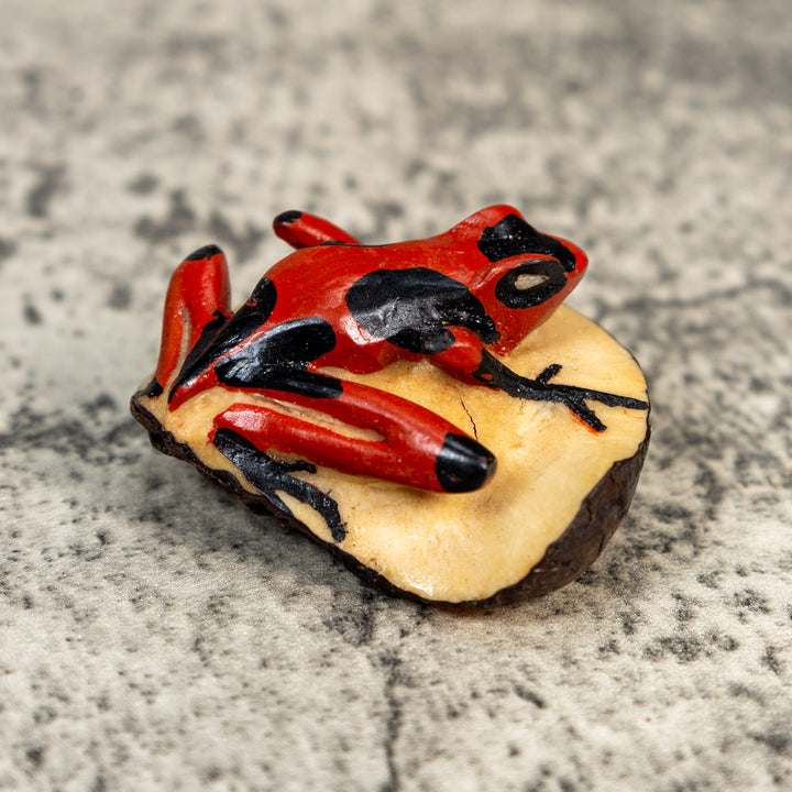 Black And Red Poison Dart Frog Tagua Carving