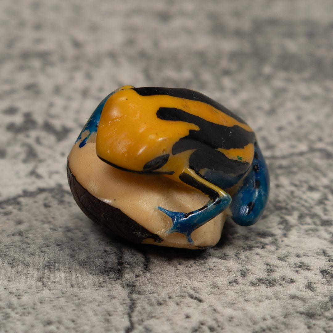 Vintage Black Blue And Yellow Frog Tagua Carving