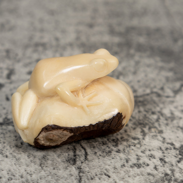 Natural White Rainforest Frog Tagua Carving