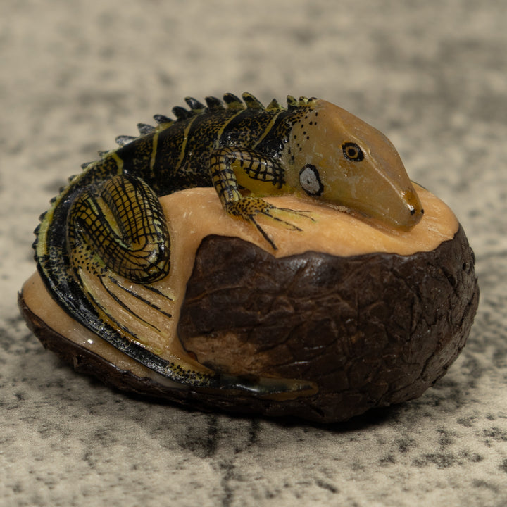 Iguana Lizard Tagua Carving