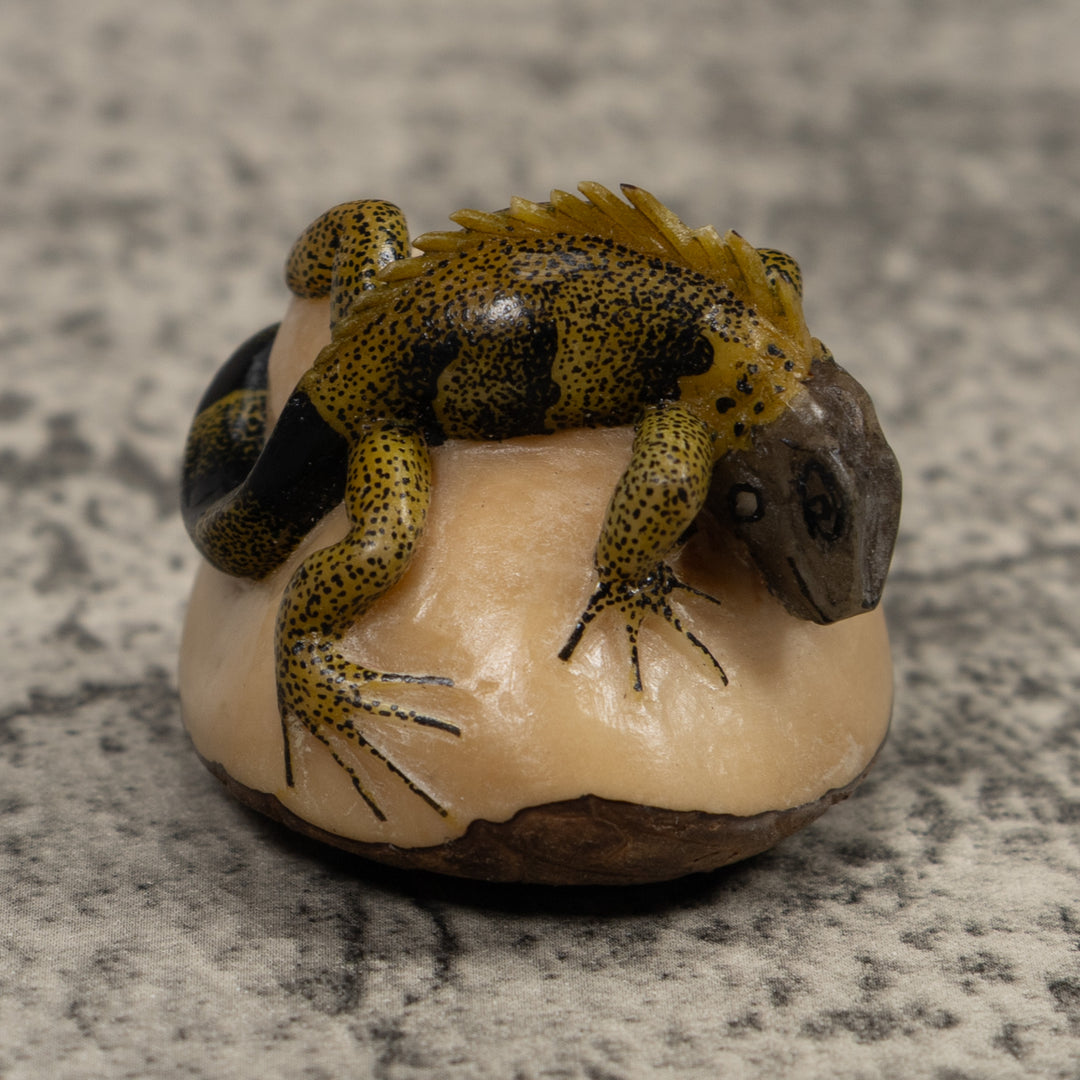 Iguana Lizard Reptile Tagua Carving