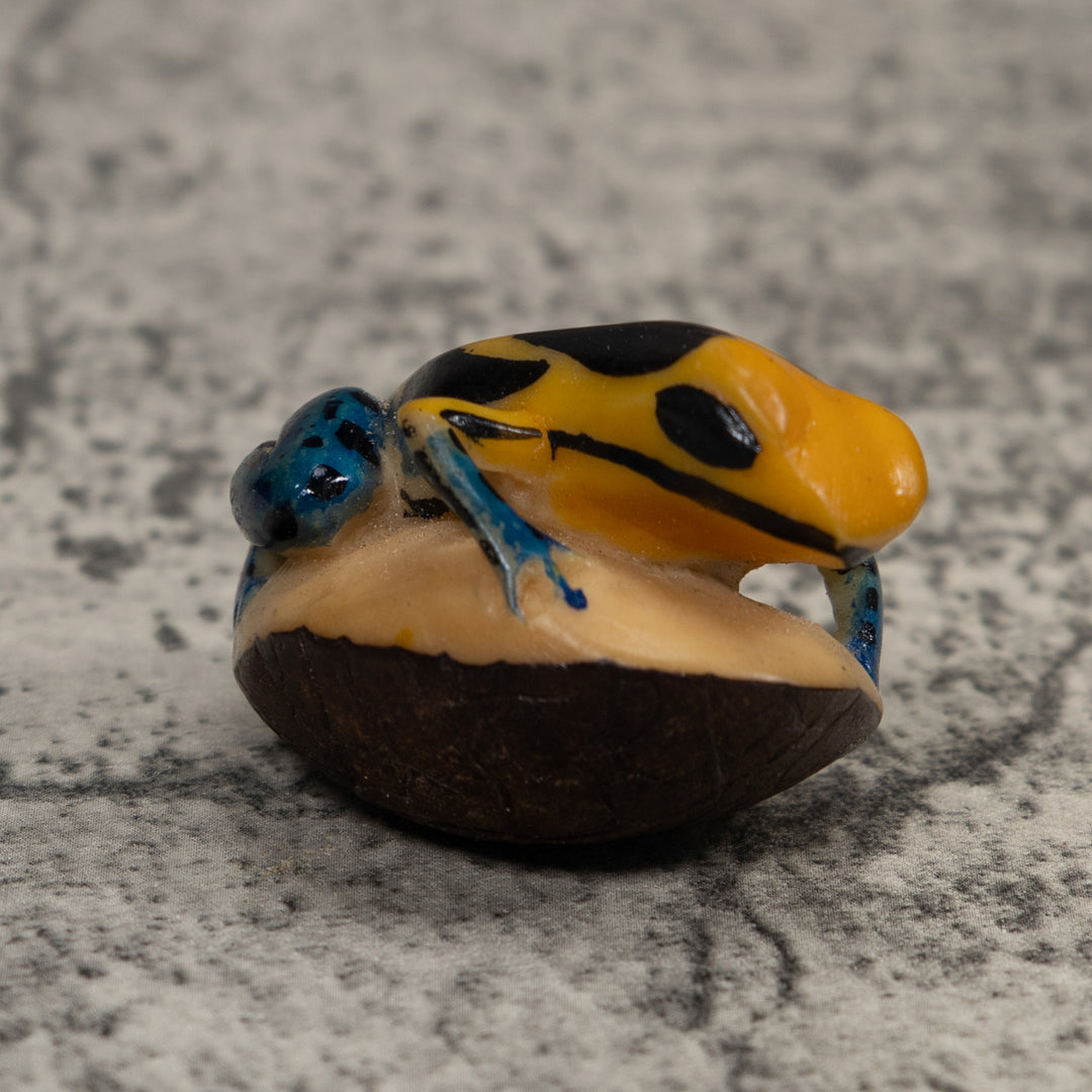 Vintage Black Blue And Yellow Frog Tagua Carving
