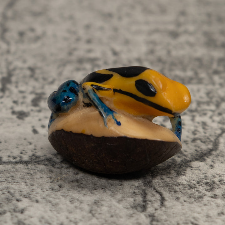 Vintage Black Blue And Yellow Frog Tagua Carving