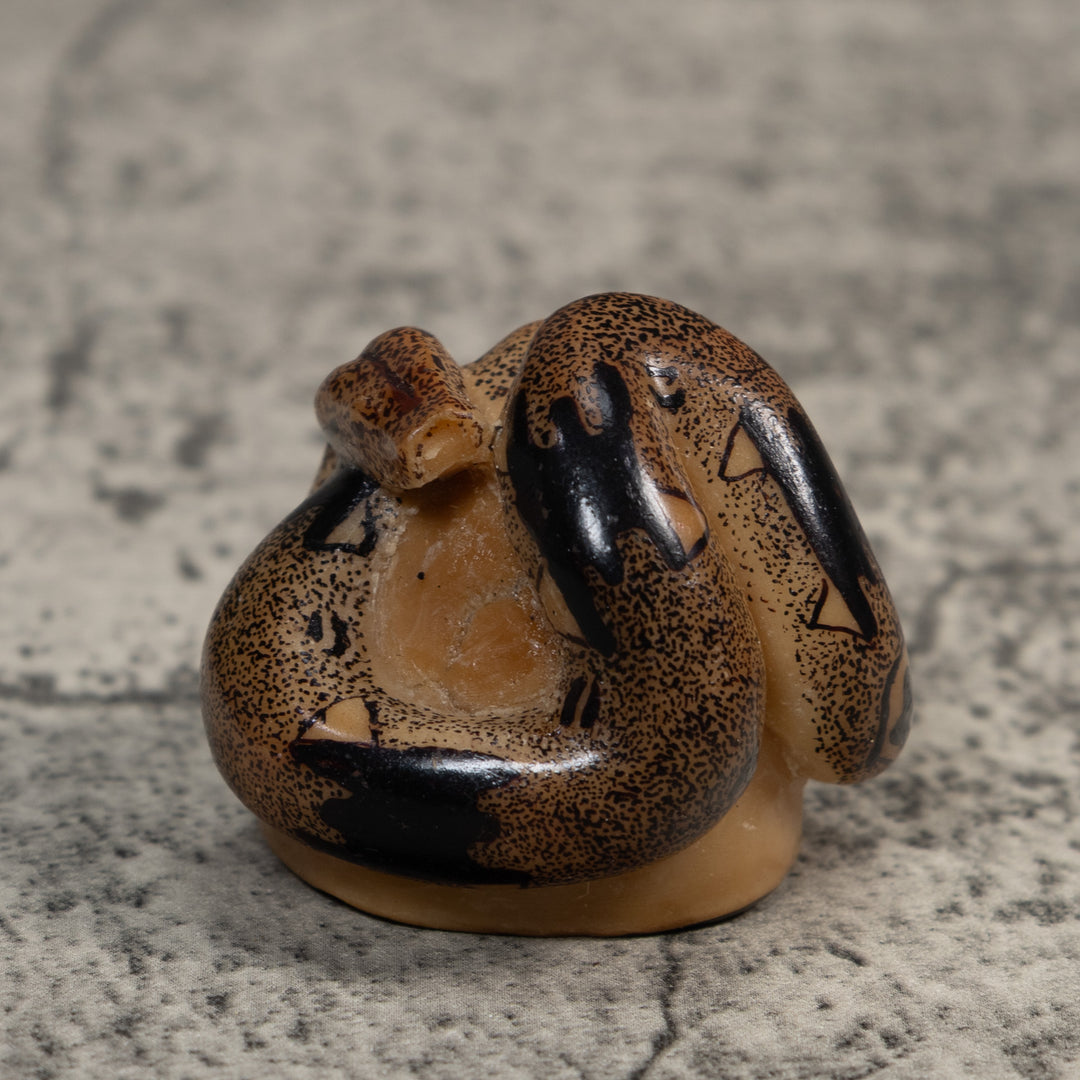 Brown And Black Boa Snake Tagua Carving