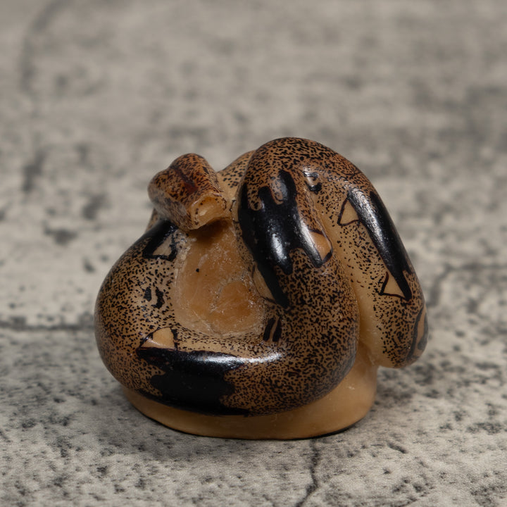 Brown And Black Boa Snake Tagua Carving