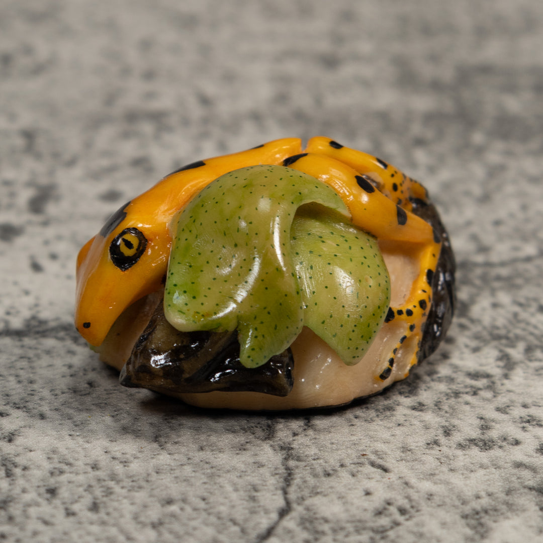 Gold Black And Green Poison Dart Frog Tagua Carving
