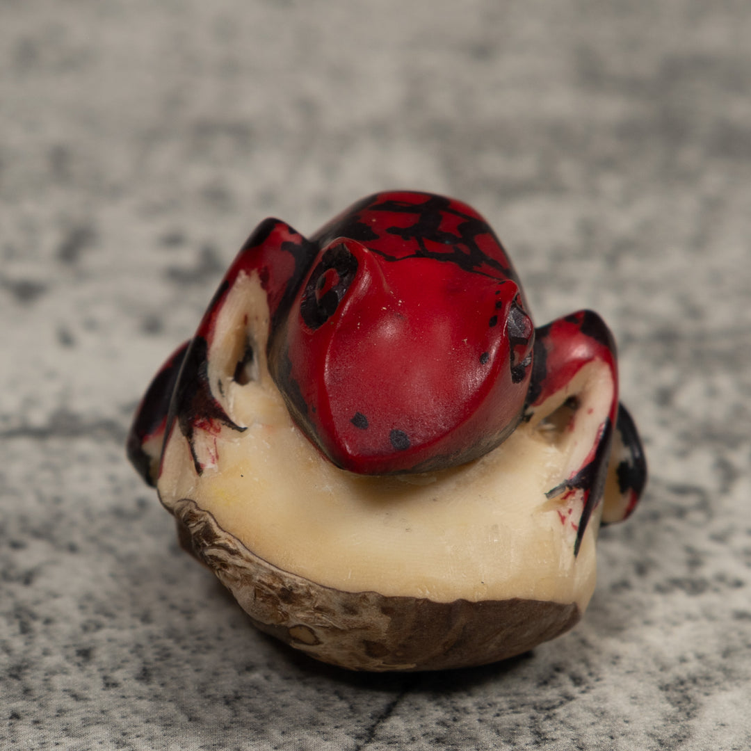 Poison Dart Frog Tagua Carving