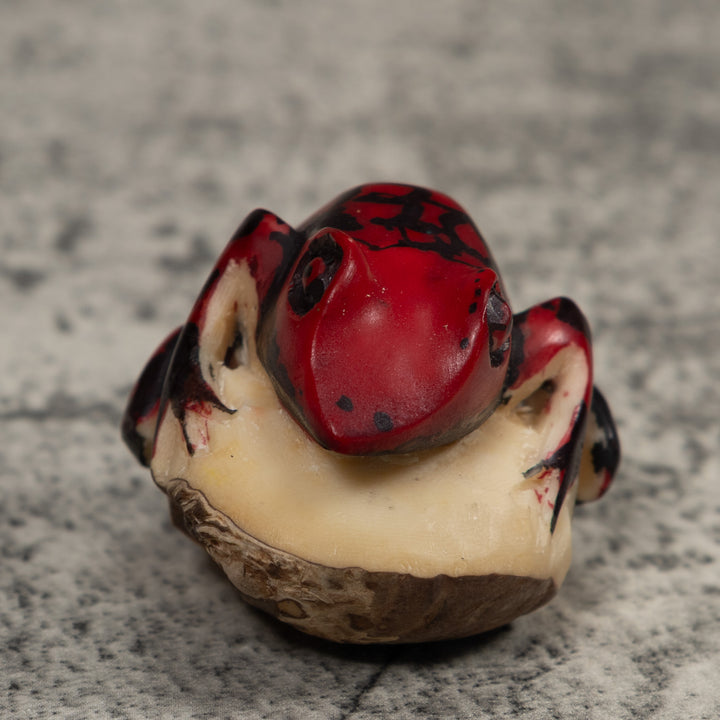 Poison Dart Frog Tagua Carving
