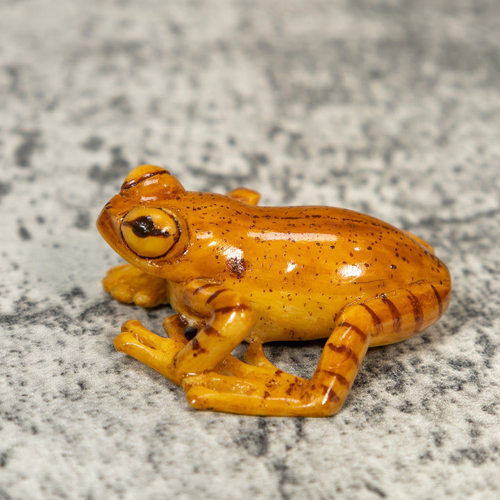 Free-Standing Brown Frog Tagua Carving