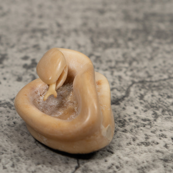 Natural White Snake Tagua Carving