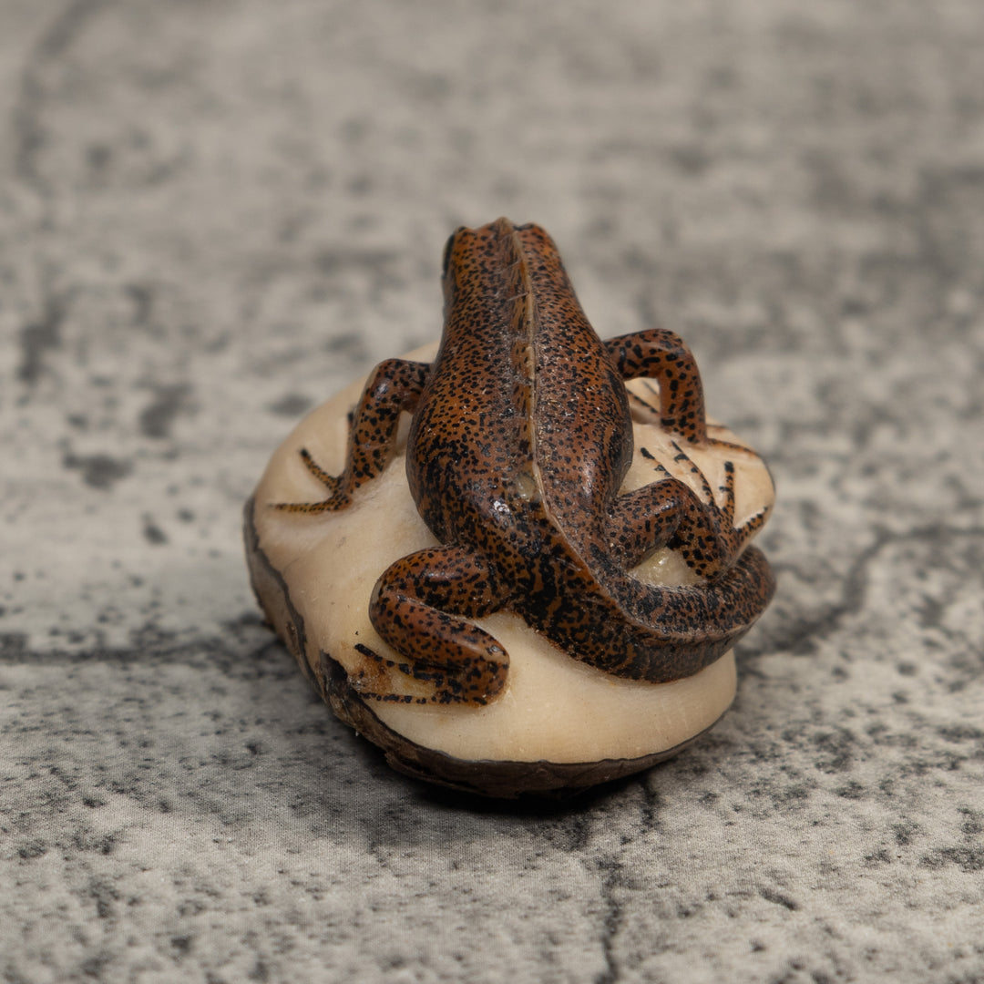 Brown And Black Gecko Lizard Tagua Carving