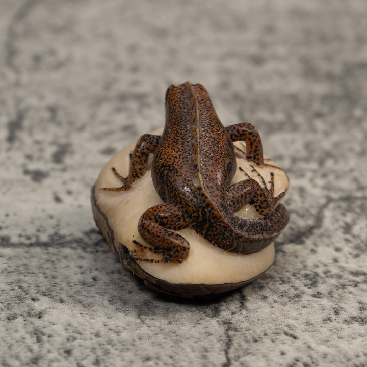 Brown And Black Gecko Lizard Tagua Carving