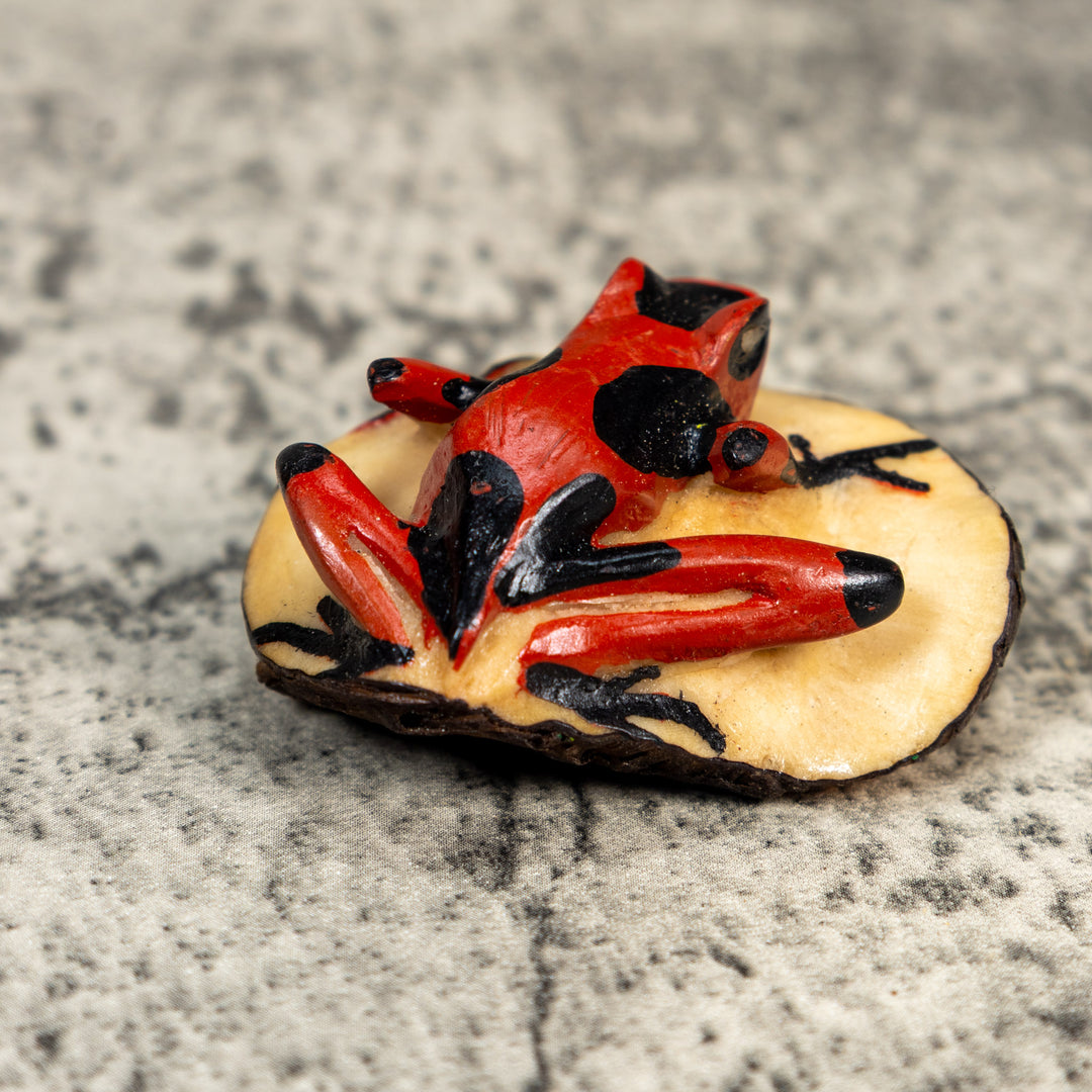 Black And Red Poison Dart Frog Tagua Carving