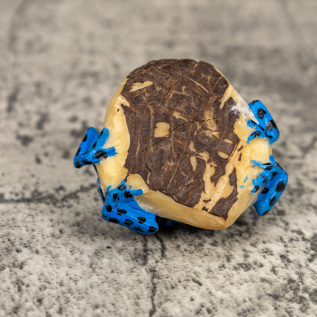 Black And Blue Double Poison Dart Frog Tagua Carving