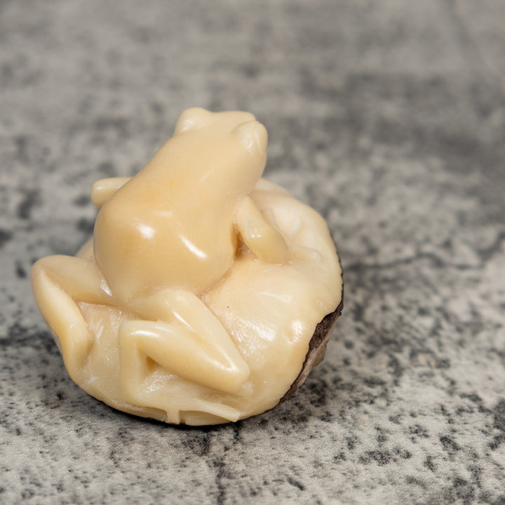 Natural White Rainforest Frog Tagua Carving