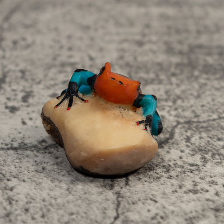 Red Blue And Black Poison Dart Frog Tagua Carving