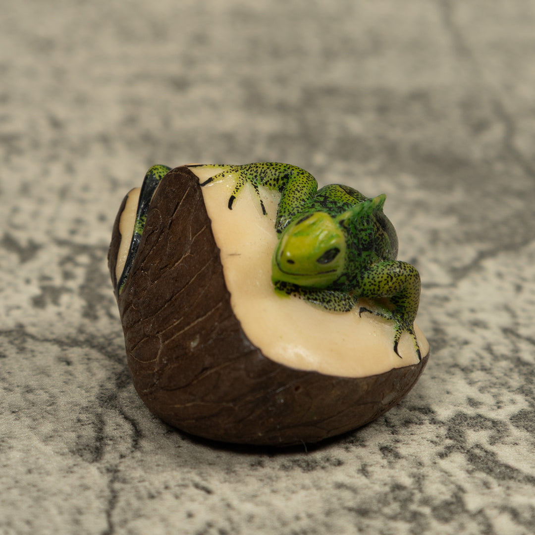 Iguana Lizard Reptile Tagua Carving