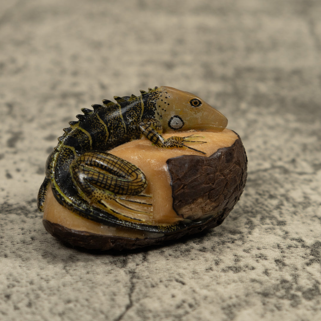 Iguana Lizard Tagua Carving
