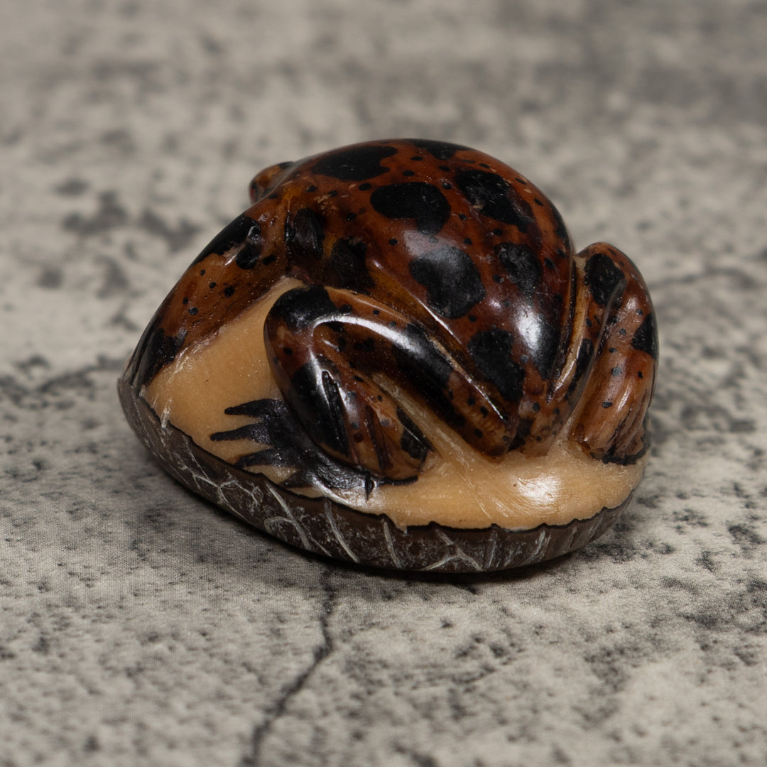 Vintage Brown And Black Frog Tagua Carving