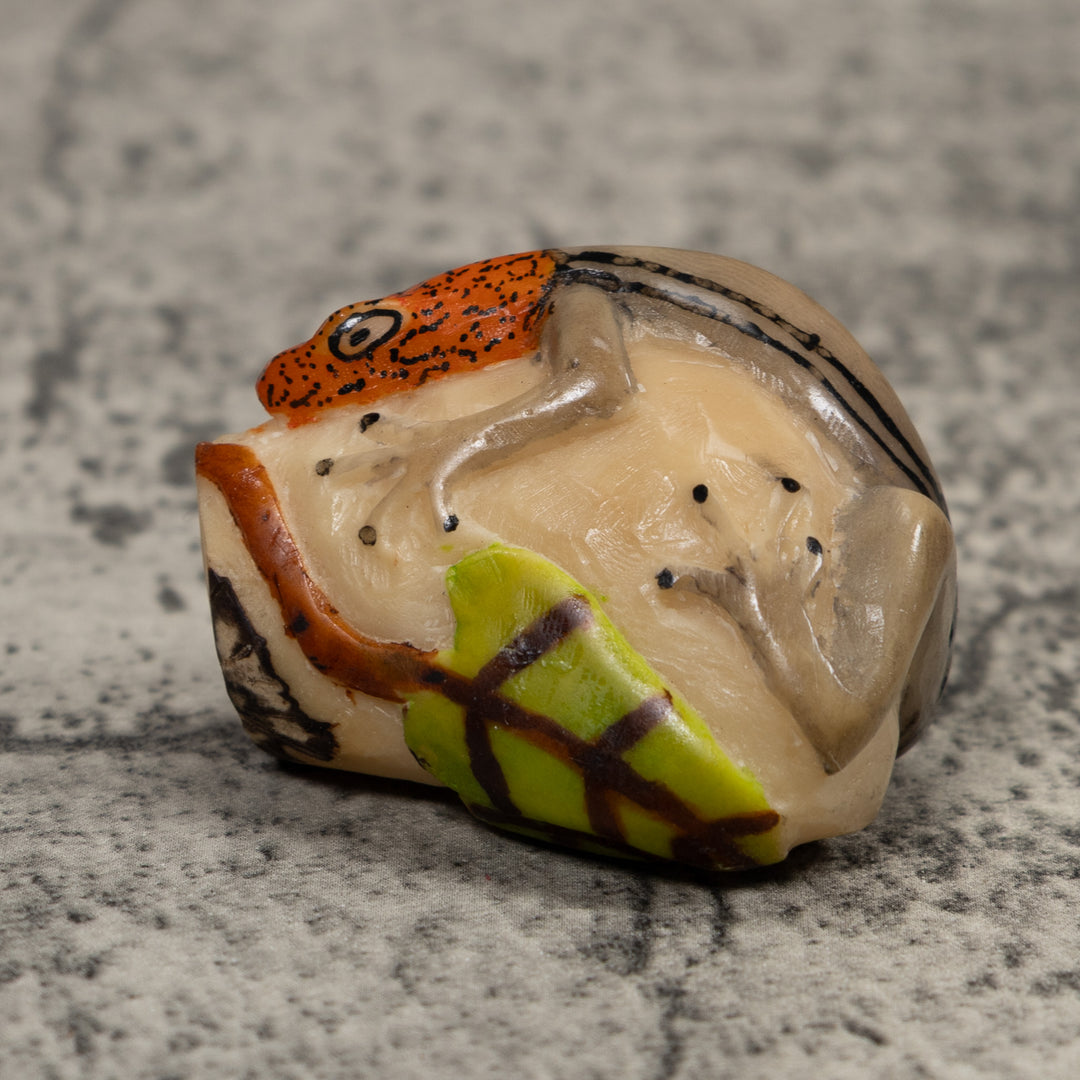 Redhead Gecko Lizard Reptile Tagua Carving