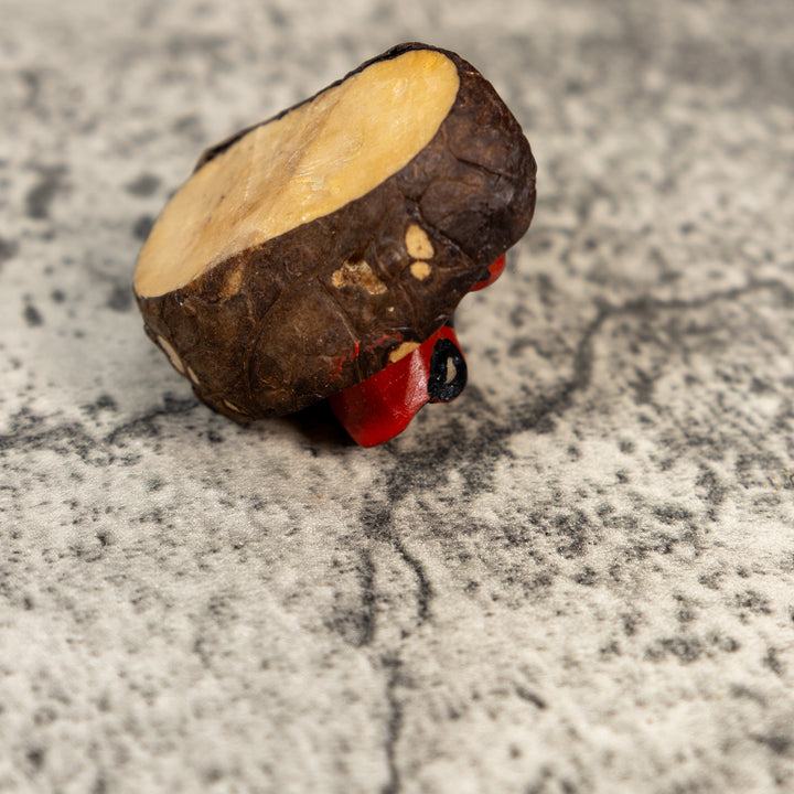 Black And Red Poison Dart Frog Tagua Carving