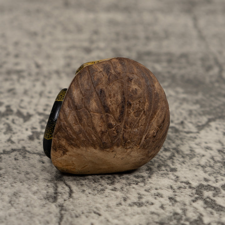 Iguana Lizard Reptile Tagua Carving