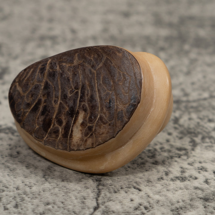 Natural White Snake Tagua Carving