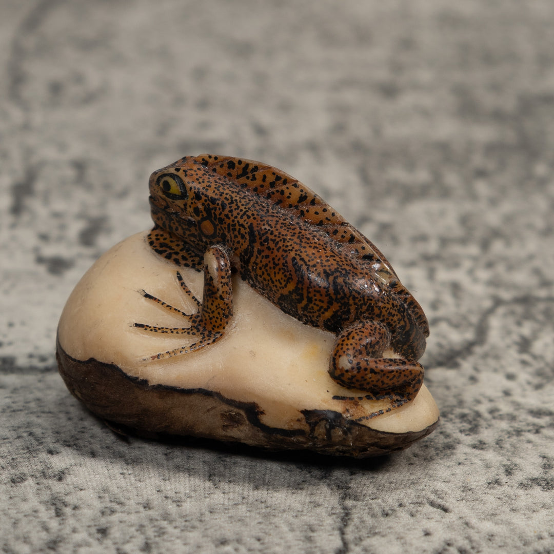 Brown And Black Gecko Lizard Tagua Carving
