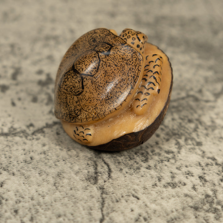 Vintage Sea Turtle Tagua Carving