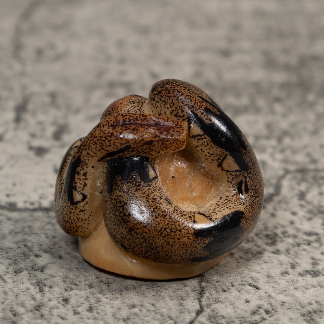 Brown And Black Boa Snake Tagua Carving