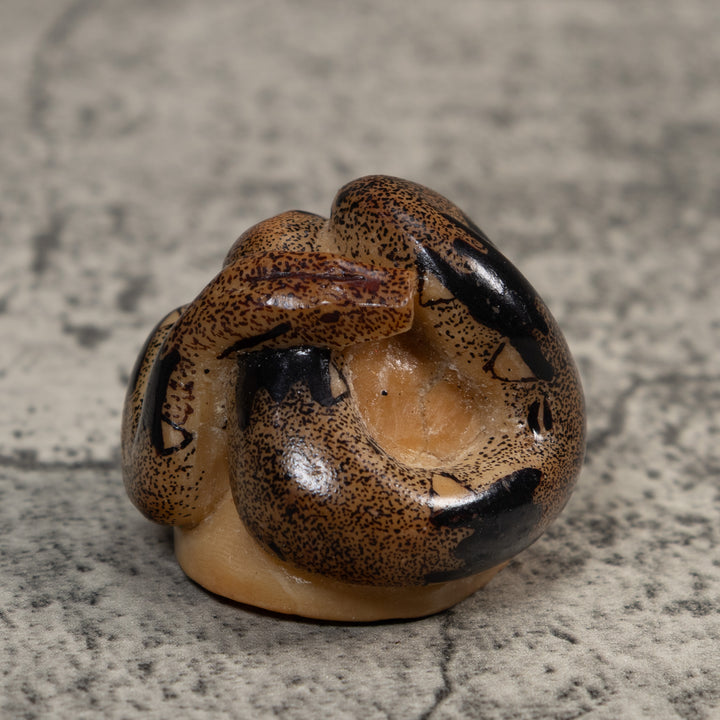 Brown And Black Boa Snake Tagua Carving