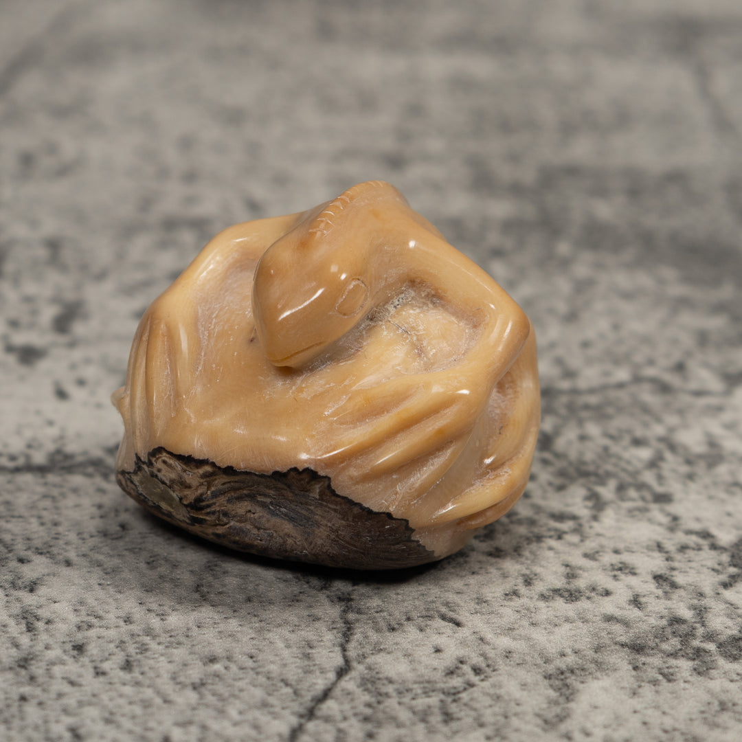 Vintage White Natural Iguana Tagua Carving